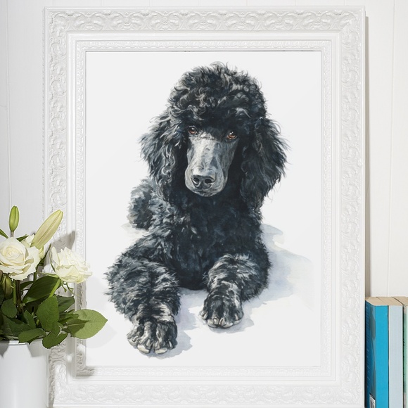 Watercolor Black Poodle Portrait Wall Art Print Poster, Unframed - Pet Artwork - Picture 6 of 6